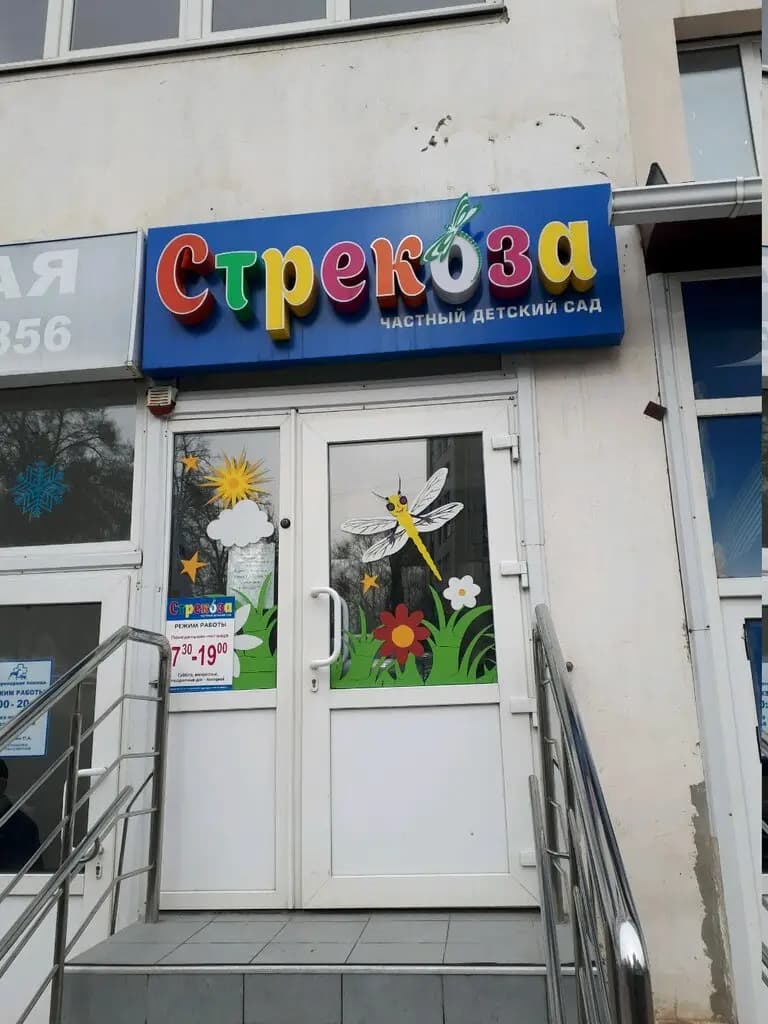 Стрекоза — фото 2