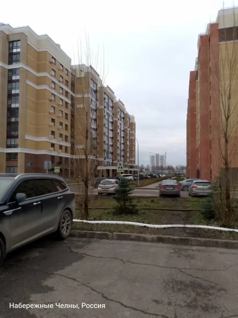 Аленький цветочек — фото 6