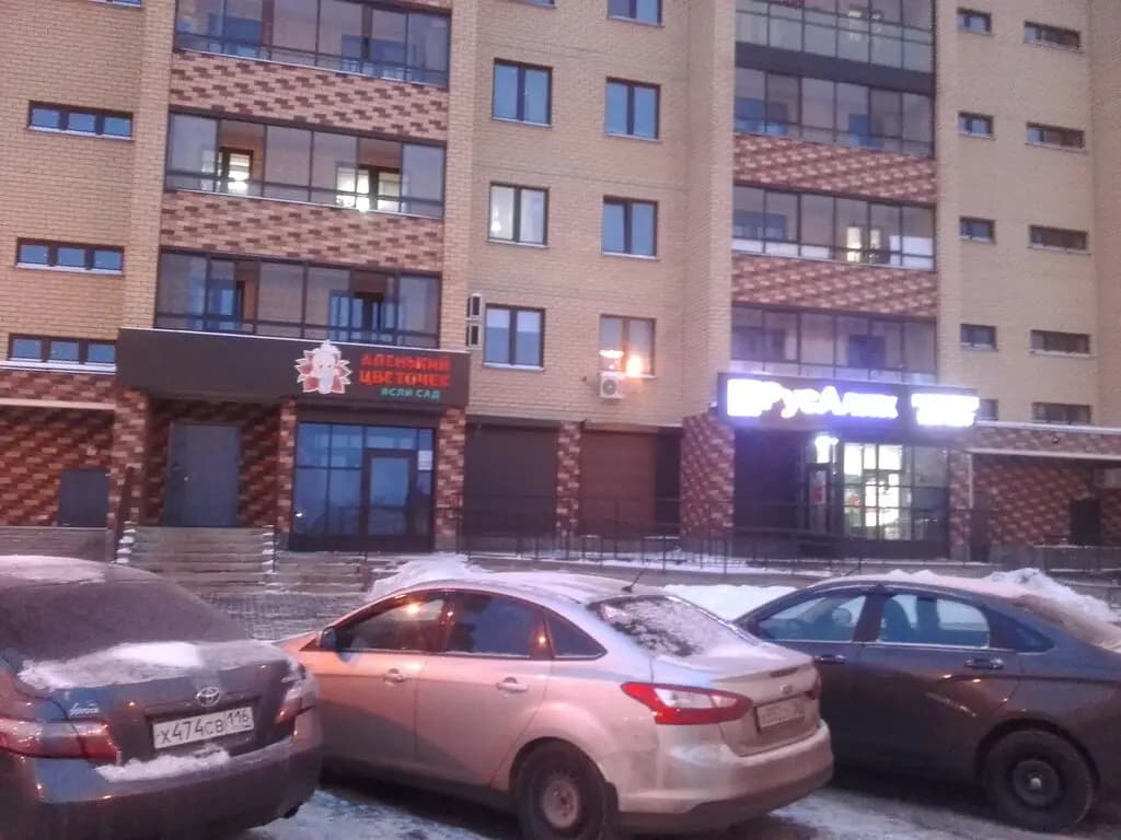 Аленький цветочек — фото 8