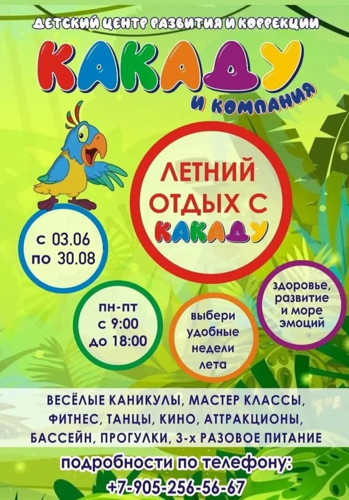Какаду и компания — фото 4