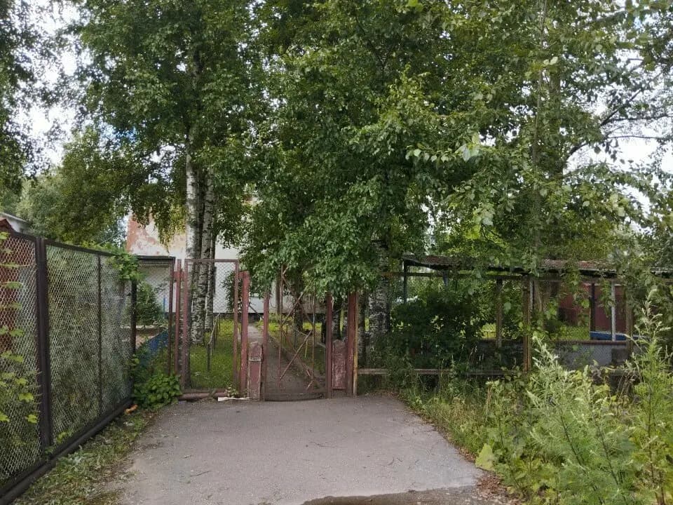 Центр развития ребенка-детский сад № 8 Золушка, корпус № 1 — фото 3