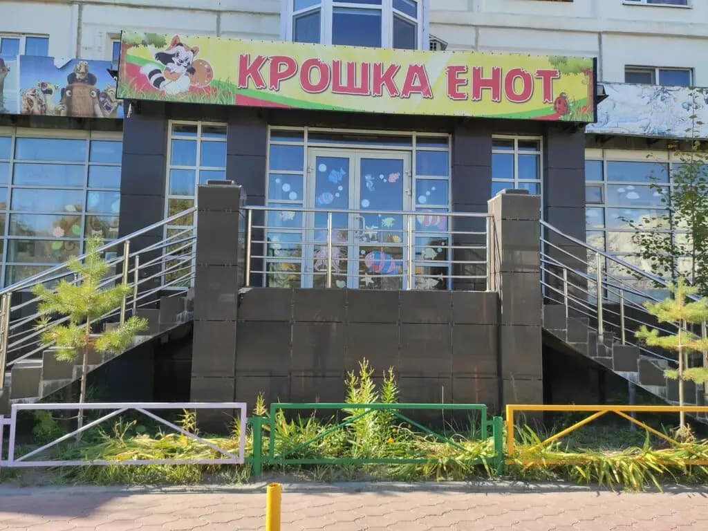 Крошка енот — фото 2