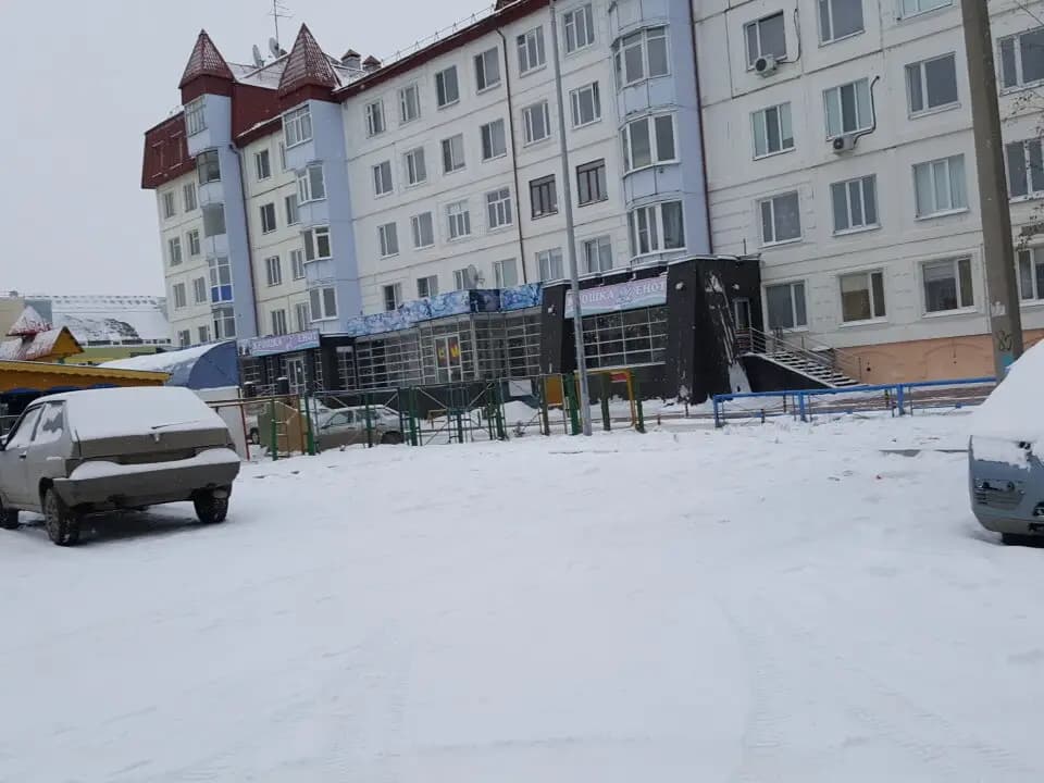 Крошка енот — фото 4