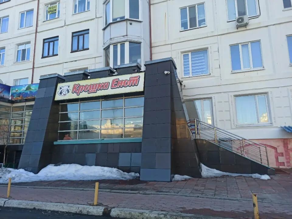 Крошка енот — фото 7