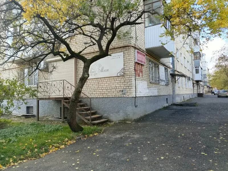 Топтыжка — фото 3