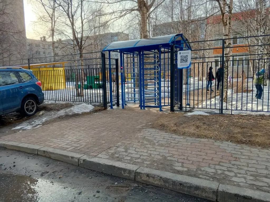 Сова — фото 2