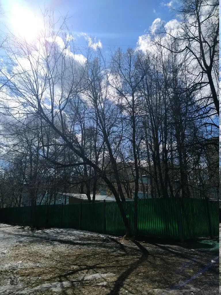 Школа № 667 имени Героя Советского Союза К.Я. Самсонова, корпус № 10 — фото 4