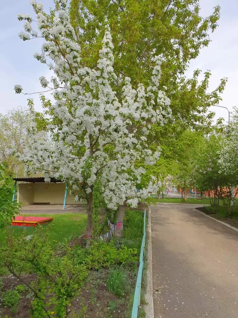 Детский сад № 155 Комбинированного вида — фото 3