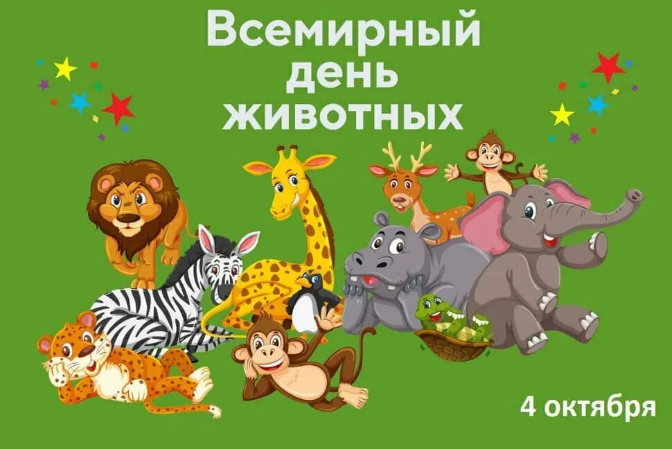 Центр развития ребёнка-детский сад № 39 Золотой Петушок — фото 5