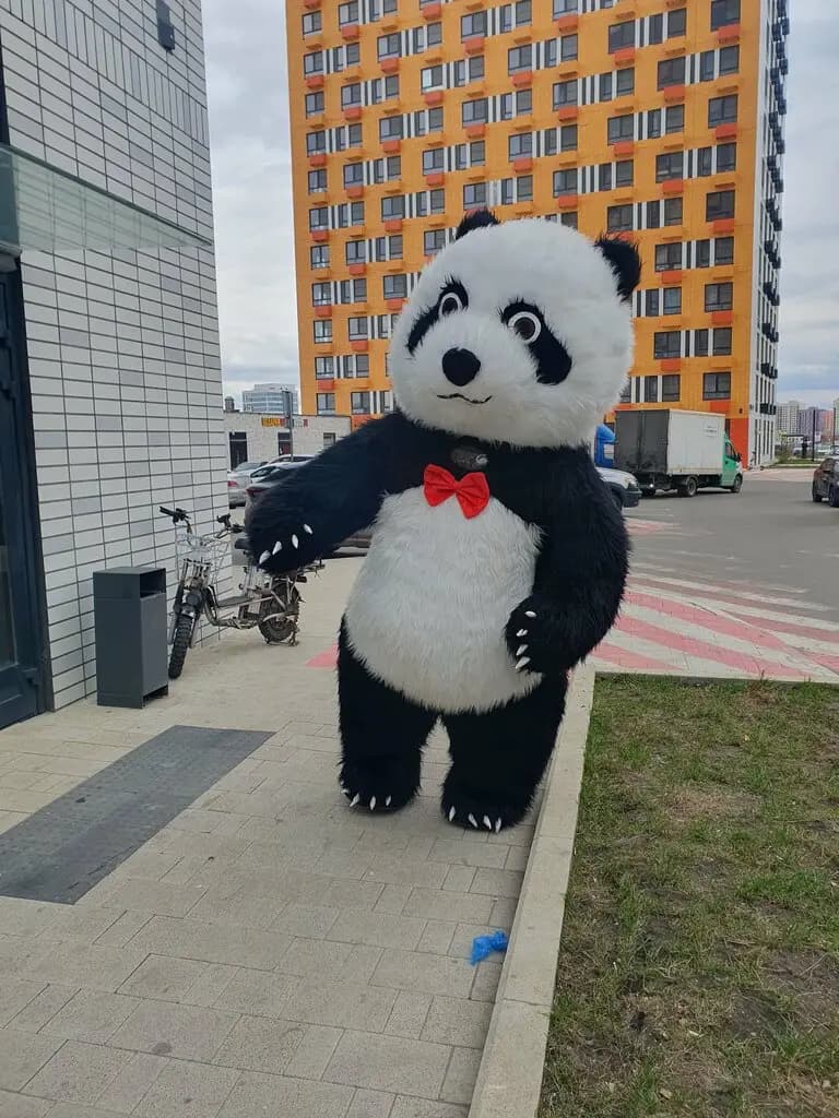 Happy Panda — фото 3