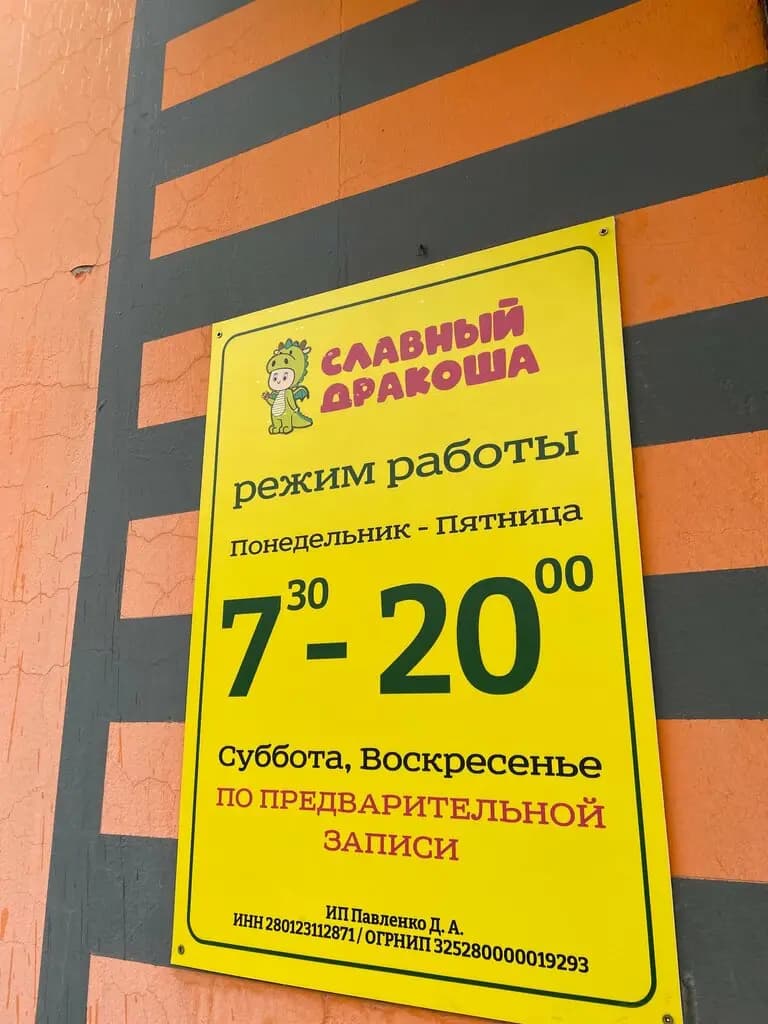 Славный Дракоша — фото 8