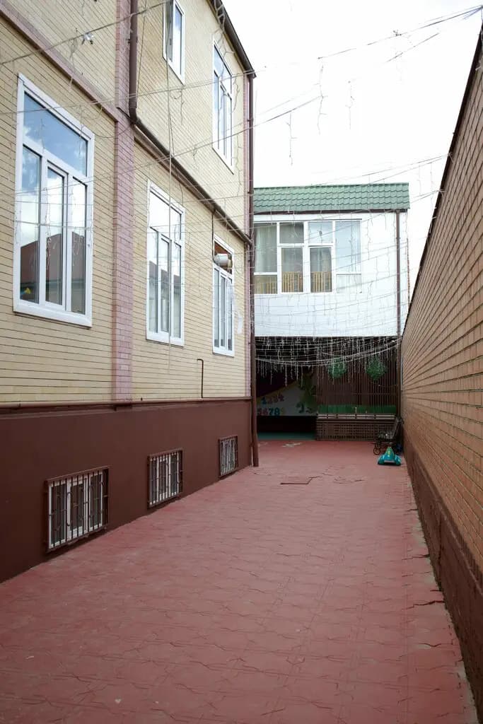 Эдельвейс — фото 10