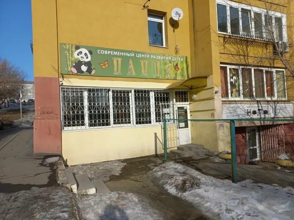 Панда — фото 2