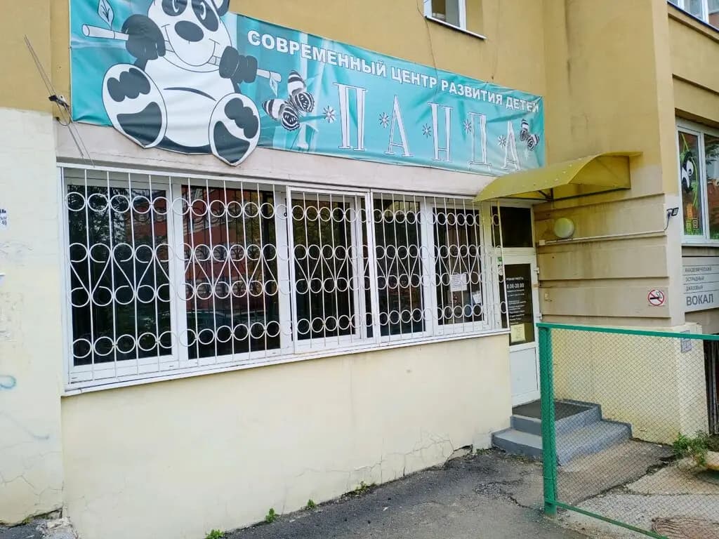 Панда — фото 4