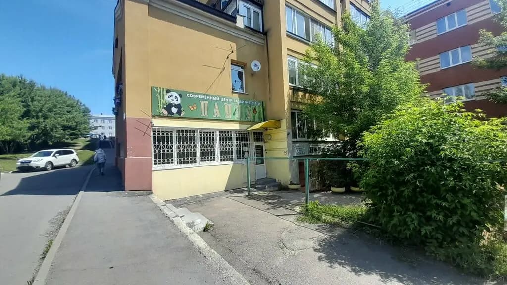 Панда — фото 8