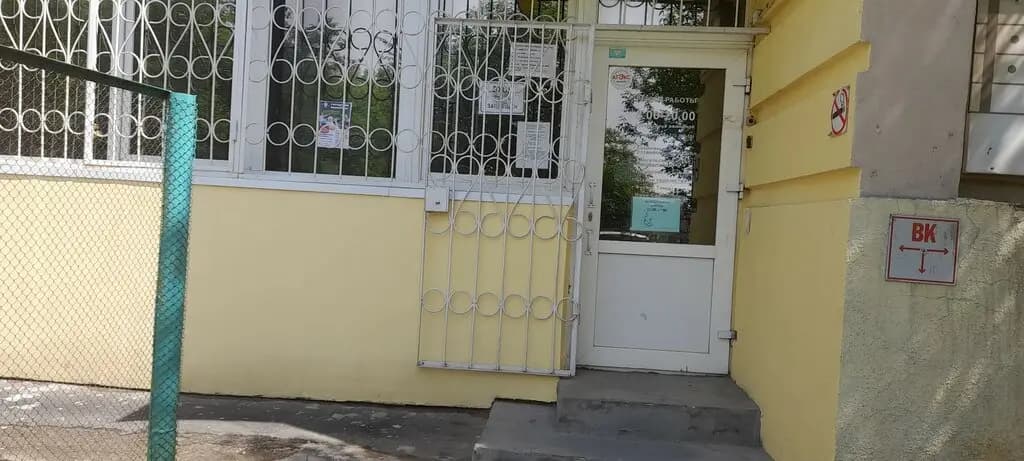 Панда — фото 9