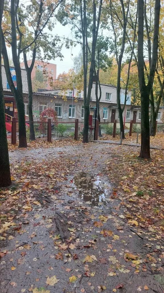 Средняя общеобразовательная школа № 5, дошкольное отделение — фото 6
