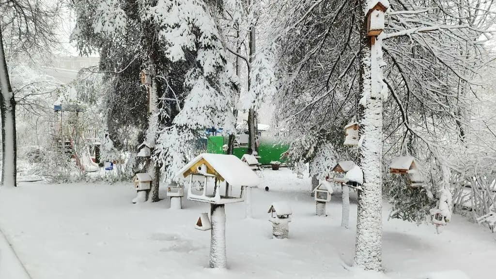 Дошкольное отделение № 2 Незабудка Гимназии № 5 Интеллект — фото 3