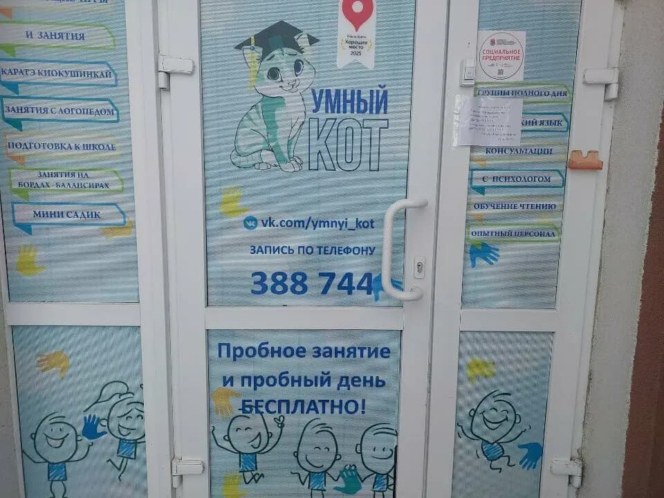 Умный кот — фото 4