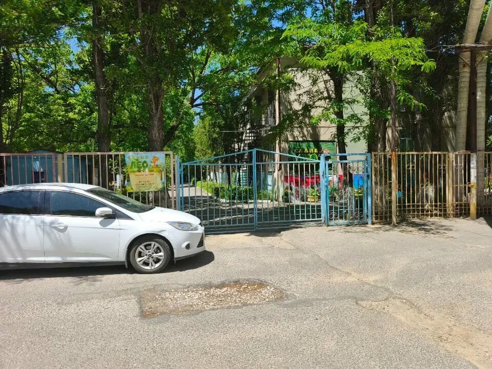 Лео — фото 3