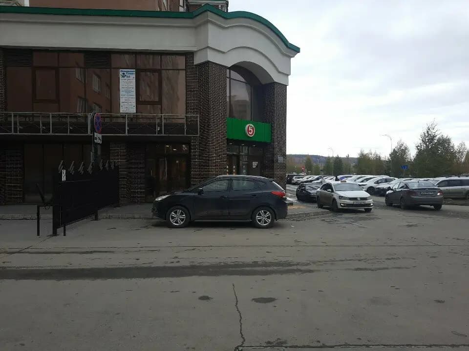 Академия совят — фото 3