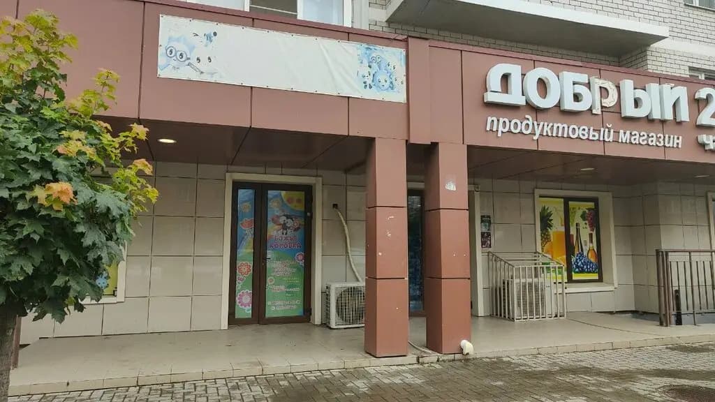 Божья коровка — фото 2