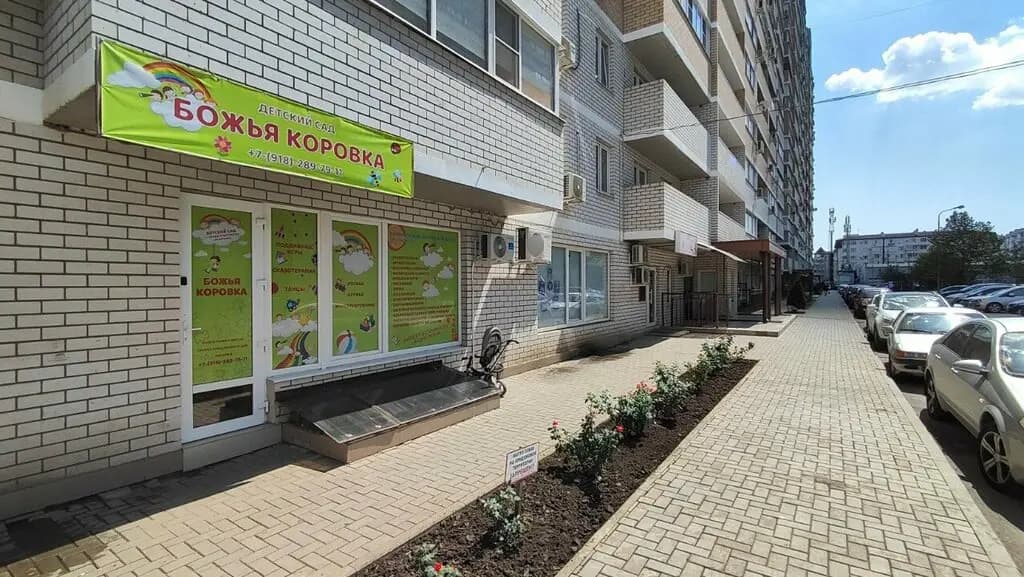 Божья коровка — фото 4