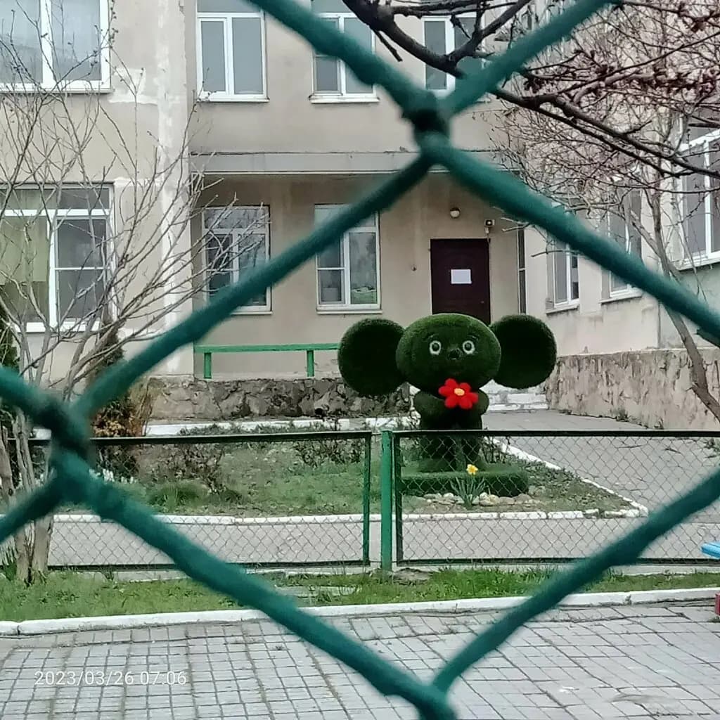 Центр развития ребёнка-детский сад № 70 Чайка — фото 5