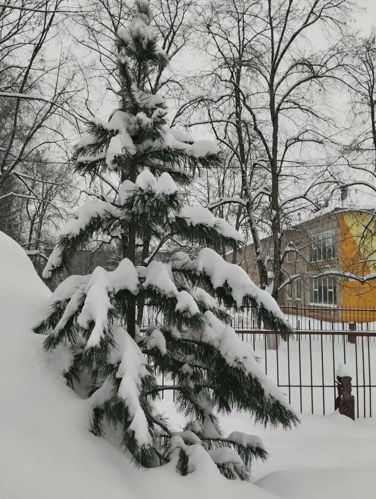 Детский сад № 19 Капелька — фото 6