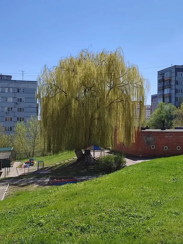 Центр развития ребёнка-детский сад № 150 Алый парус — фото 3