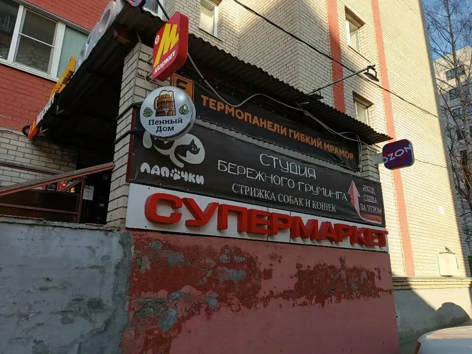 ВсеЗнайка — фото 3