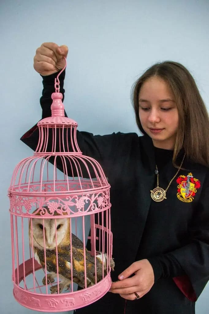 Детский клуб Хогвартс — фото 6