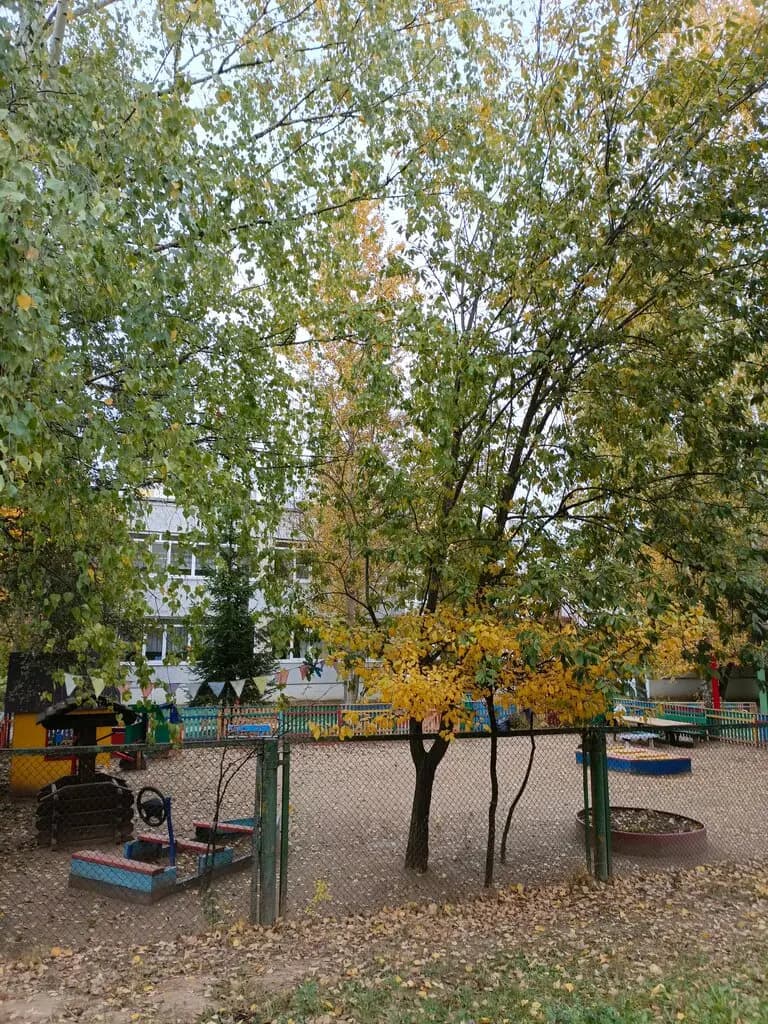 Центр образования № 1 академия детства, дошкольный корпус Мальвинка — фото 7