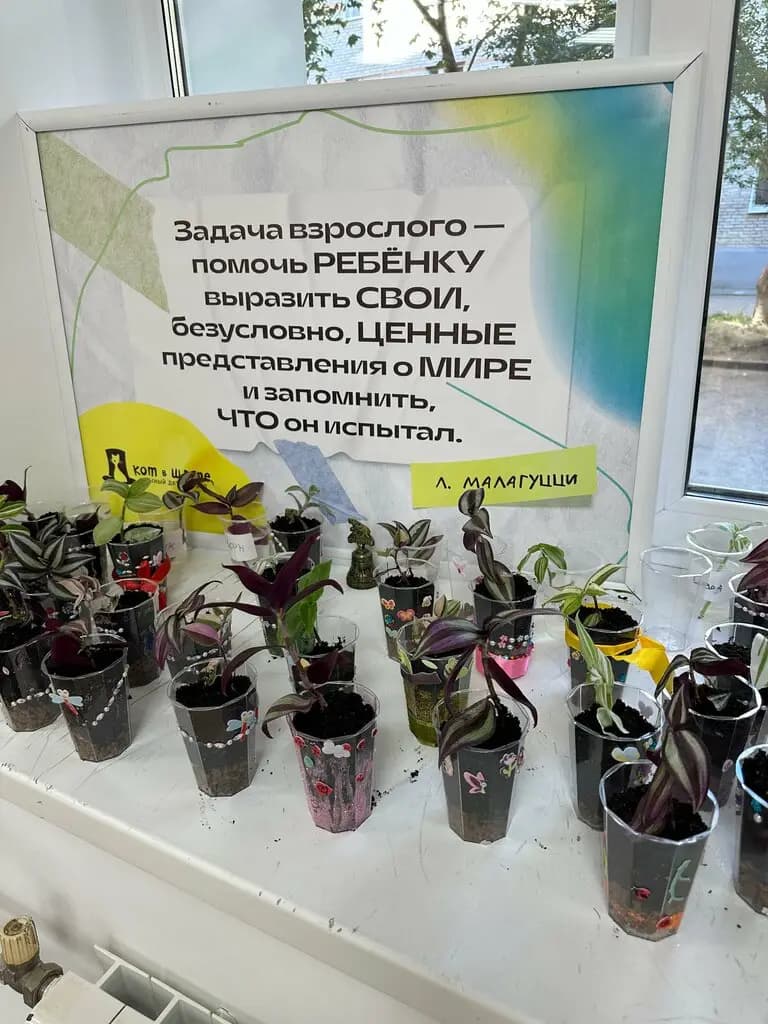 Оранжевый Ёж — фото 6