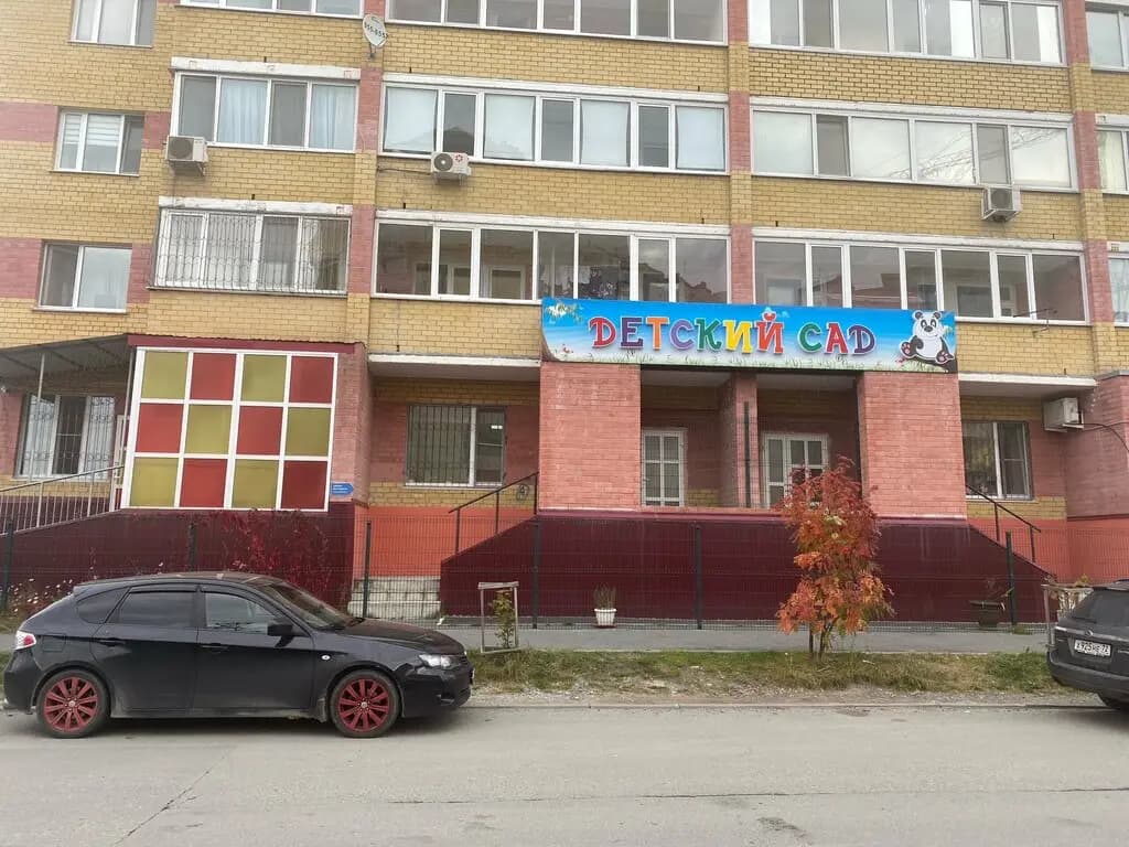 Панда — фото 2