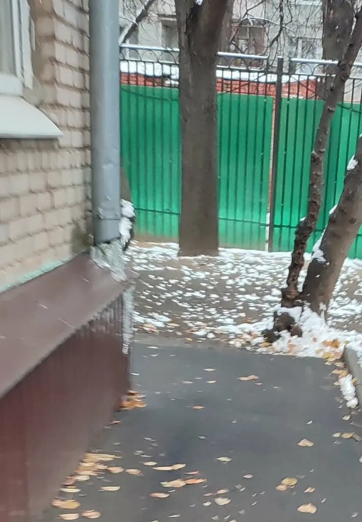 Школа № 429 Соколиная гора, дошкольное здание — фото 6