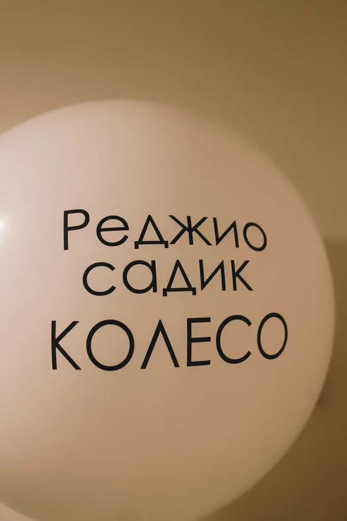 Колесо — фото 5