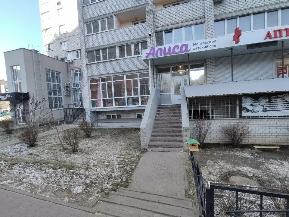 Алиса — фото 6