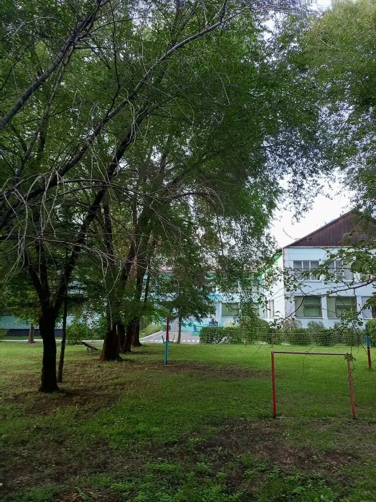 Детский сад Василёк — фото 8