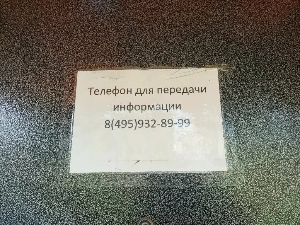 Школа № 1306, школа молодых политиков, дошкольный корпус Тиша и Маруся — фото 10