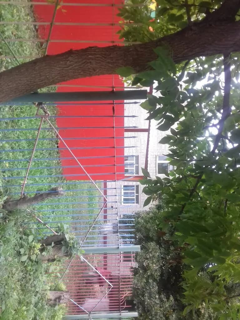 Детский сад Родничок — фото 6