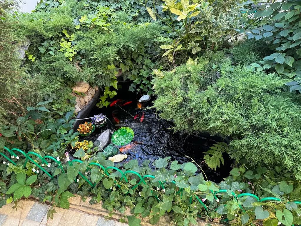 Дюймовочка — фото 1