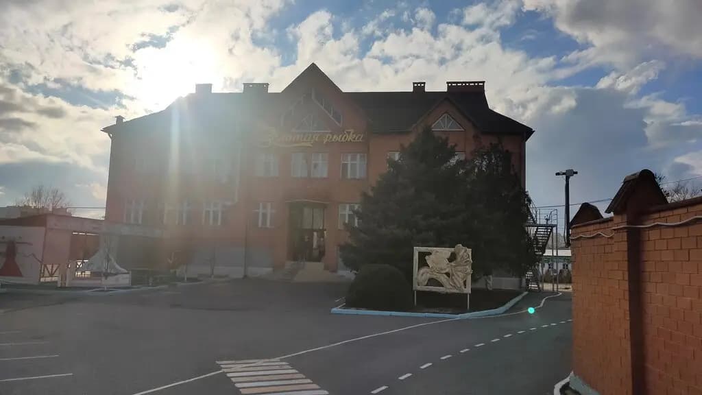 Золотая рыбка — фото 6
