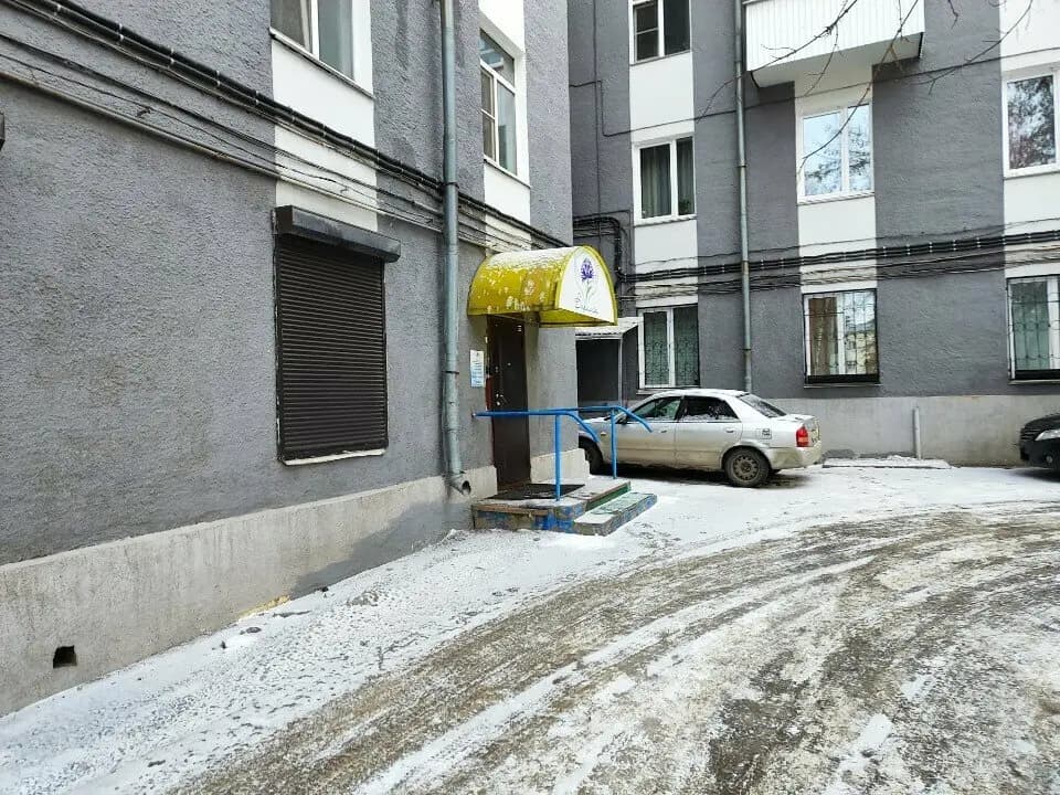 Василек — фото 2