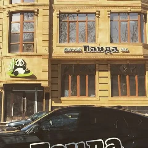 Панда — фото 3