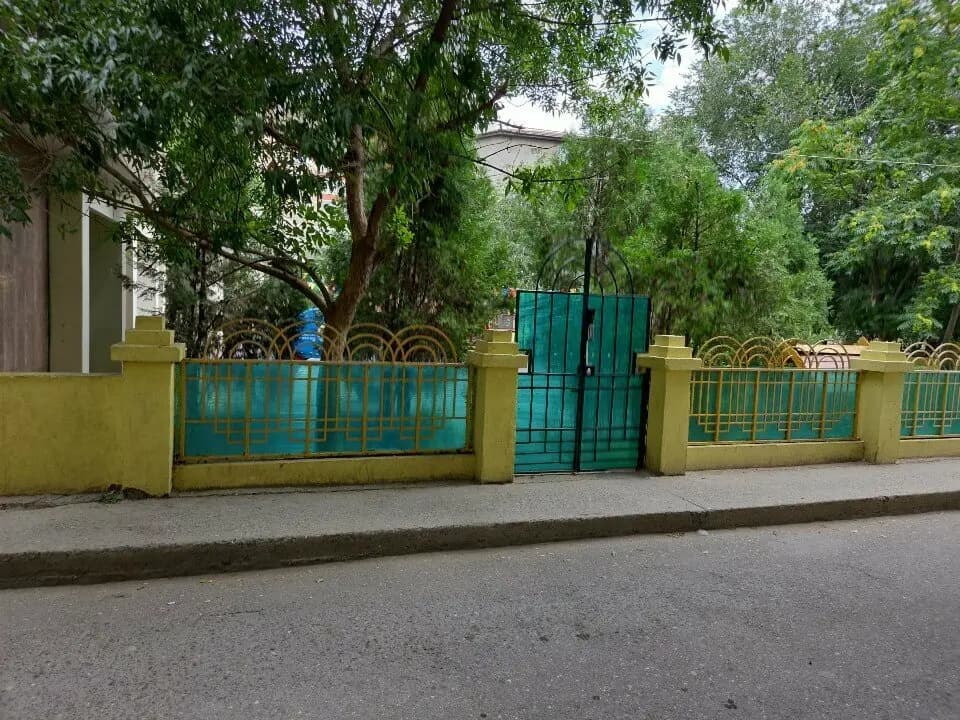 Панда — фото 4