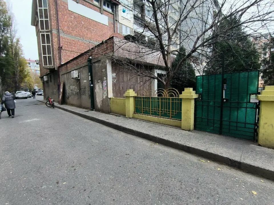 Панда — фото 5