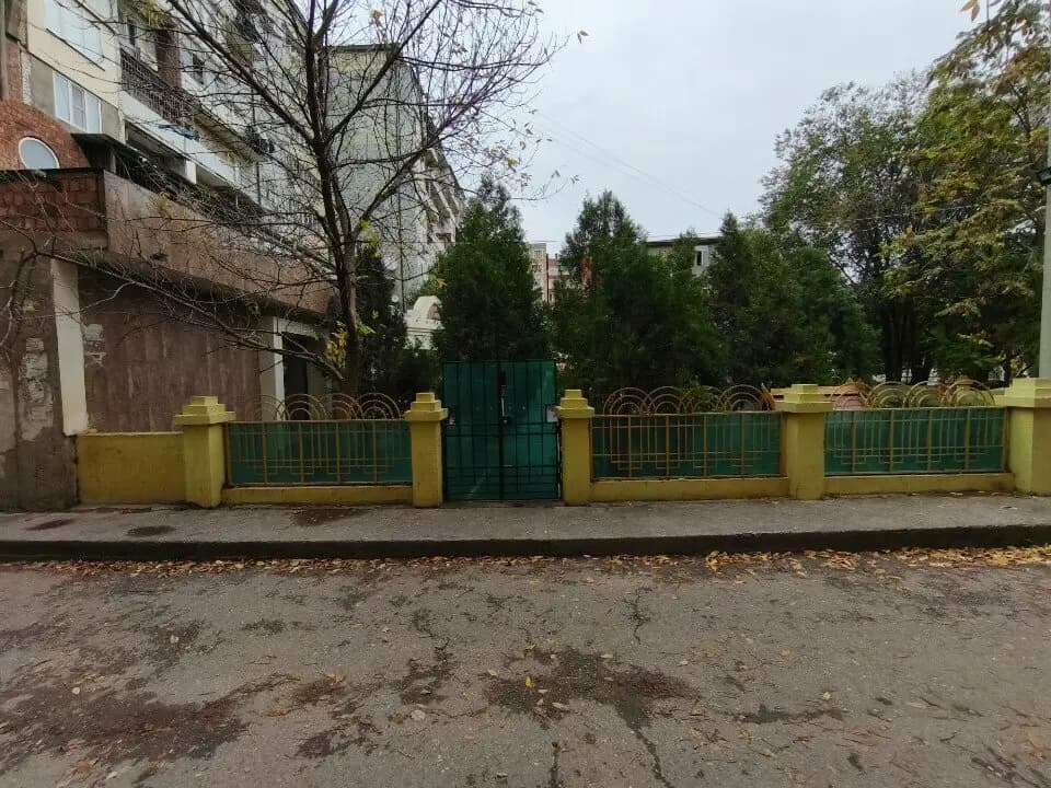 Панда — фото 6