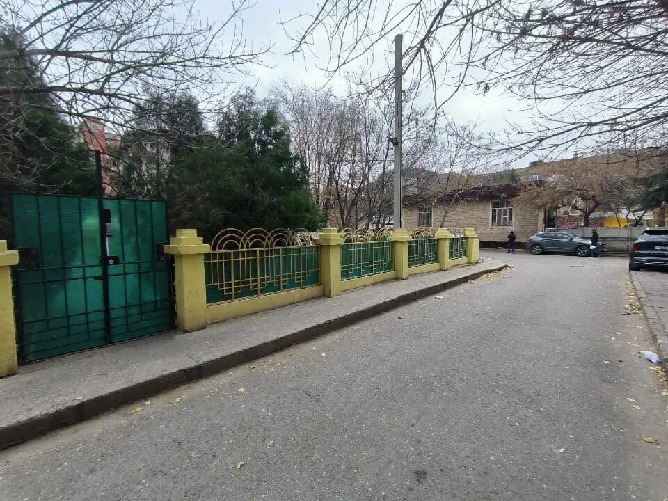Панда — фото 7