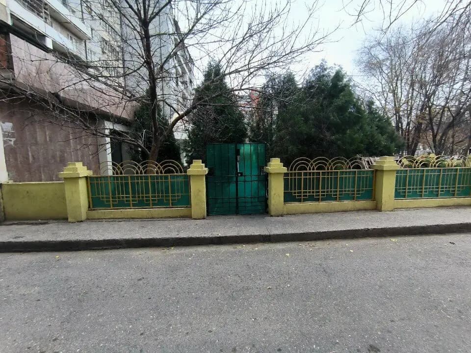 Панда — фото 8